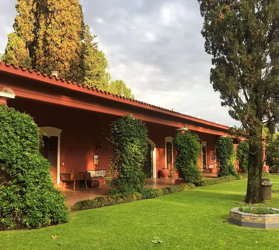 The gallery of the house at Estancia La Loma seen from the lawn, its columns wrapped in climbing plants