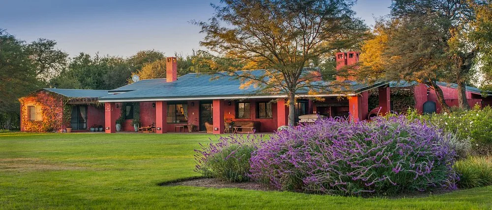 The frontage of the house at Río de Piedras at dusk, with a bank of lavender in flower on the lawn